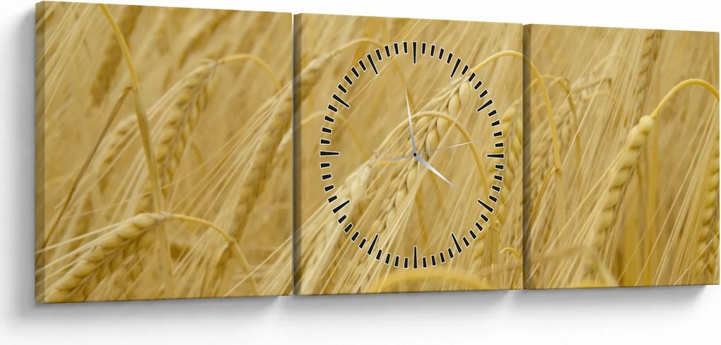 Kép - Árpa (órával) (90x30 cm)