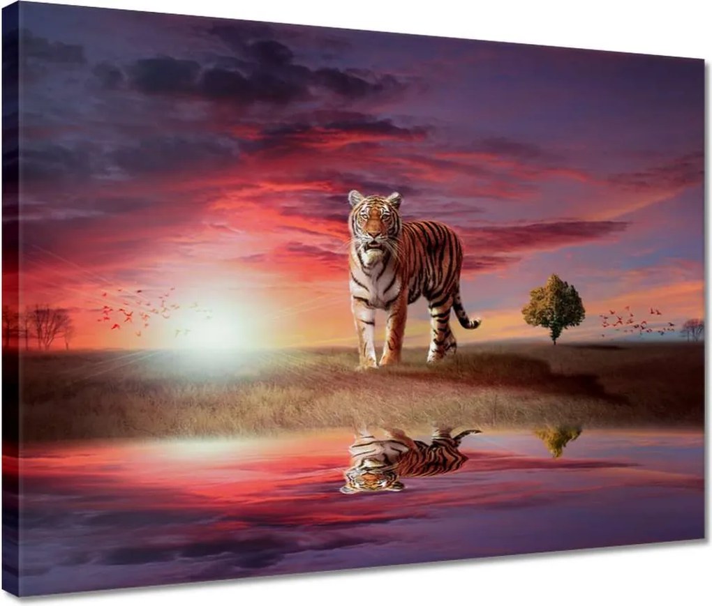 Vászonkép 40x30 Tigris