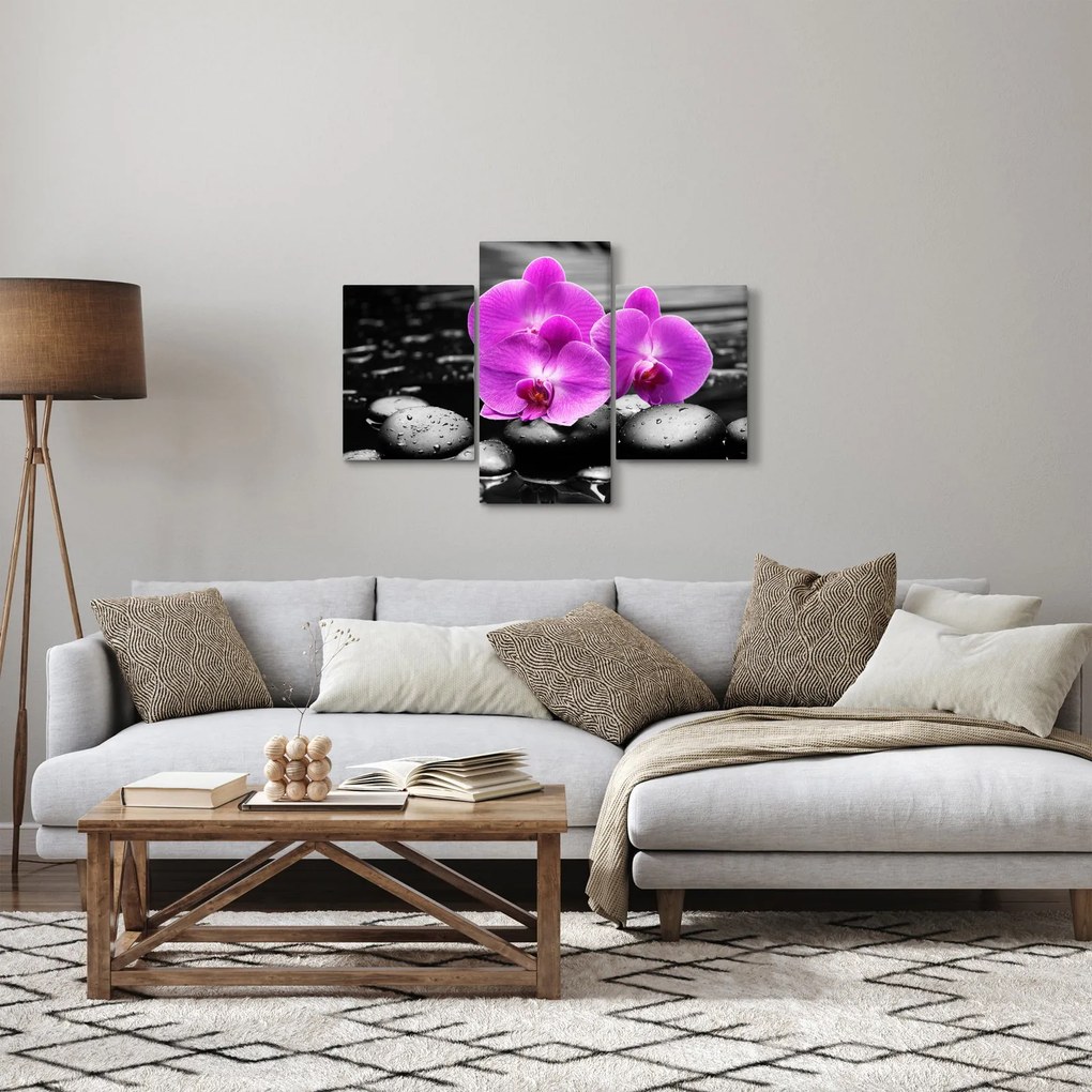Kép - Lila orchideák (90x60 cm)