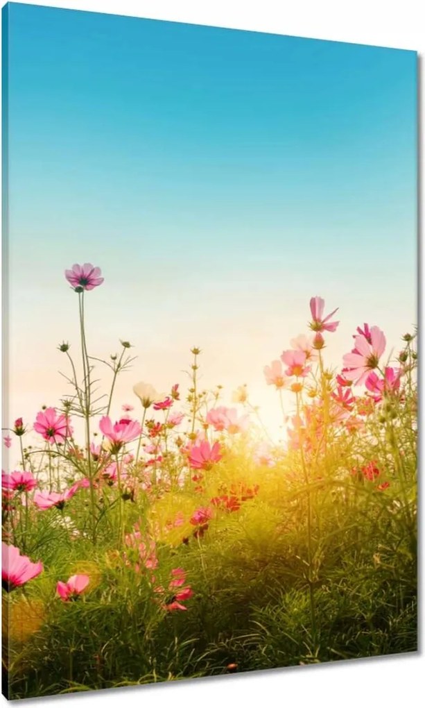 Vászonkép 70x100 Kozmikus virágok
