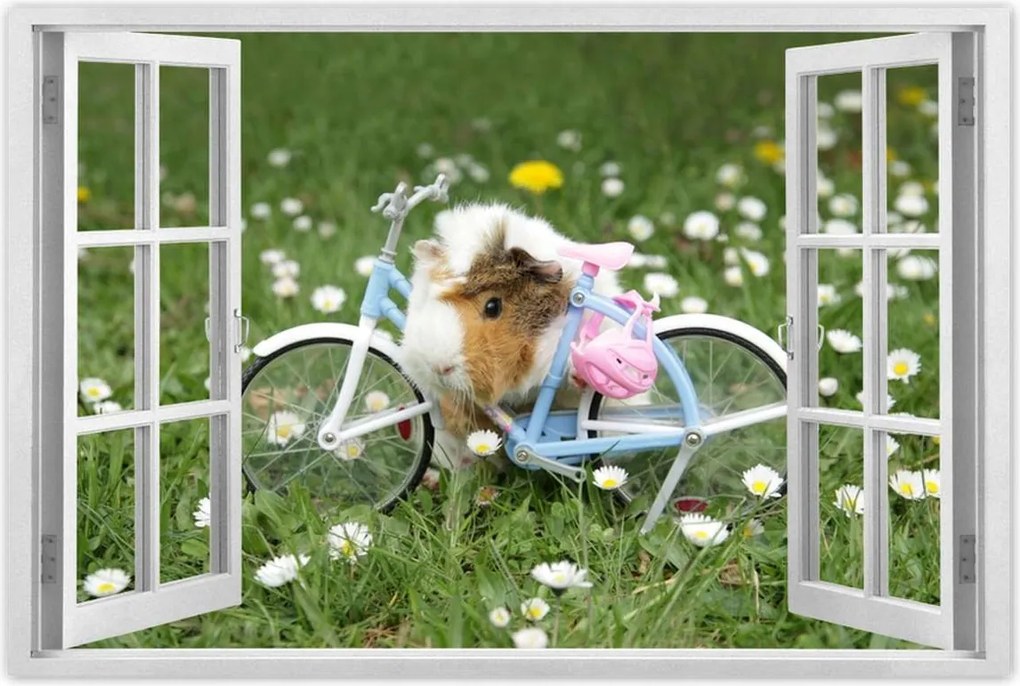 Poszterek 60x40 Tengerimalac a réten