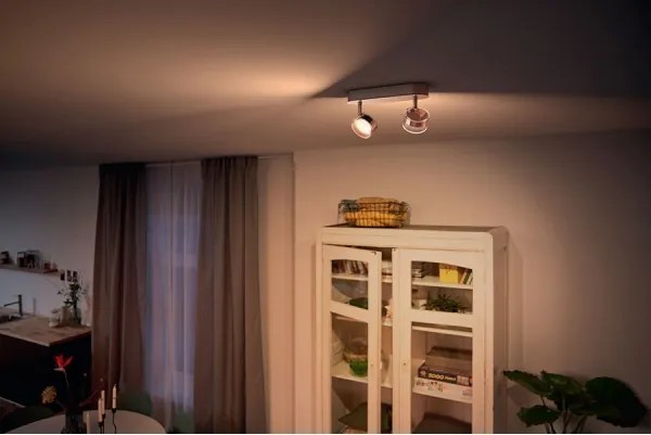 Philips 50562/11/P0-LED dimmelhető MYLIVING WORCHESTER 2xLED/4,5W/230V