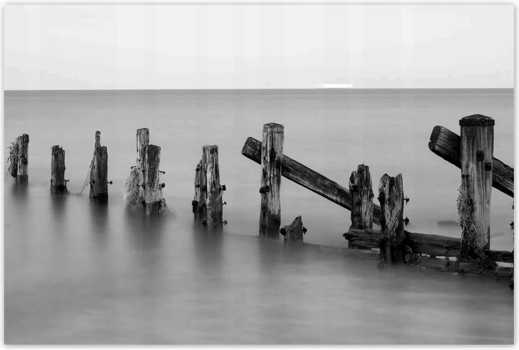 Poszterek 120x80 Fa hullámtörő