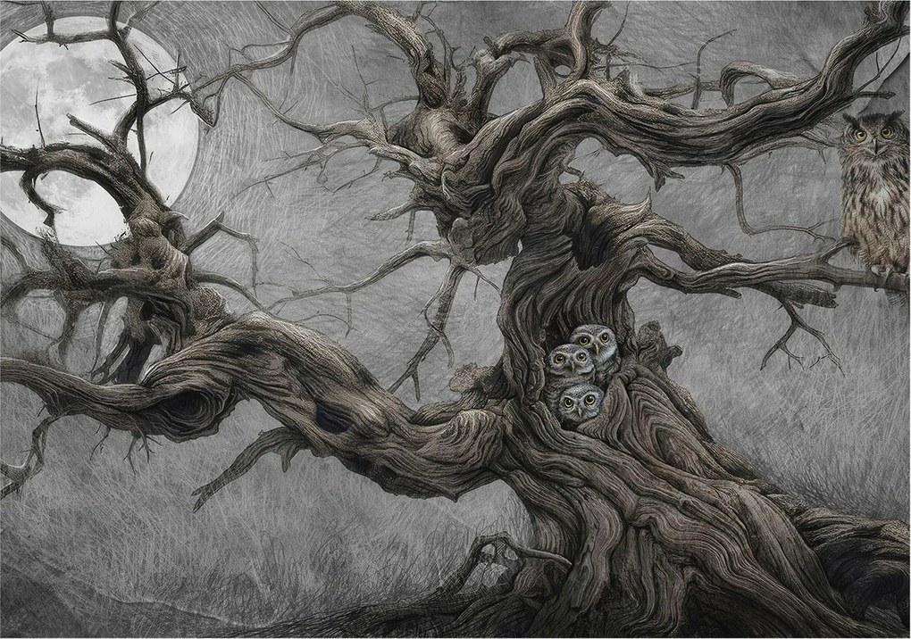 Flizelina fotótapéta Nappaliba és Hálószobába Rejtélyes bagoly 208x146