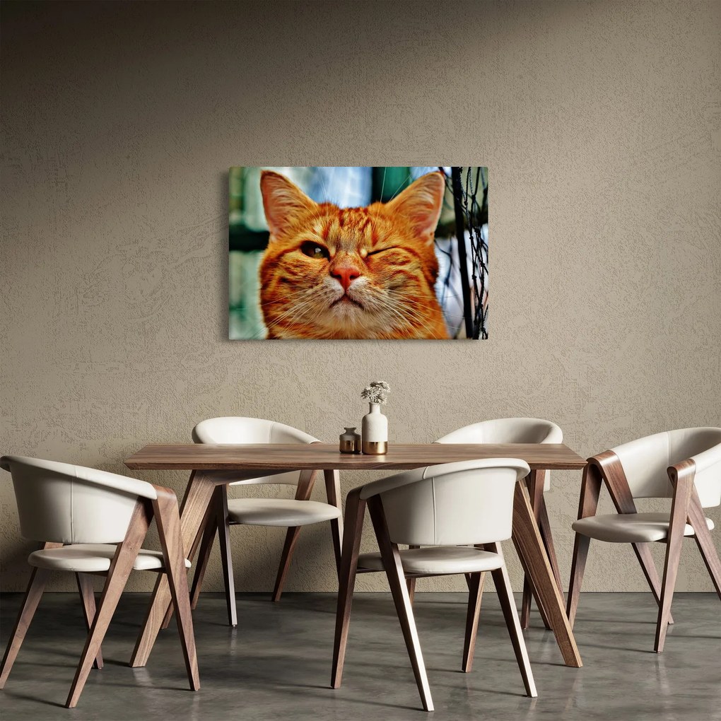 Egy pislogó macska képe (90x60 cm)