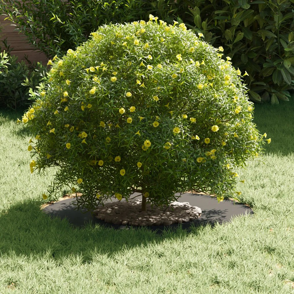 Fém Virágcserép Fekete Fém 60 x 60 x 1.3 cm Dekoratív Betétek