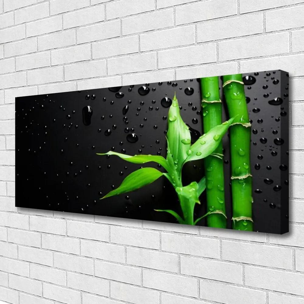 Vászonkép falra Bambusz levelek Plant 100x50 cm