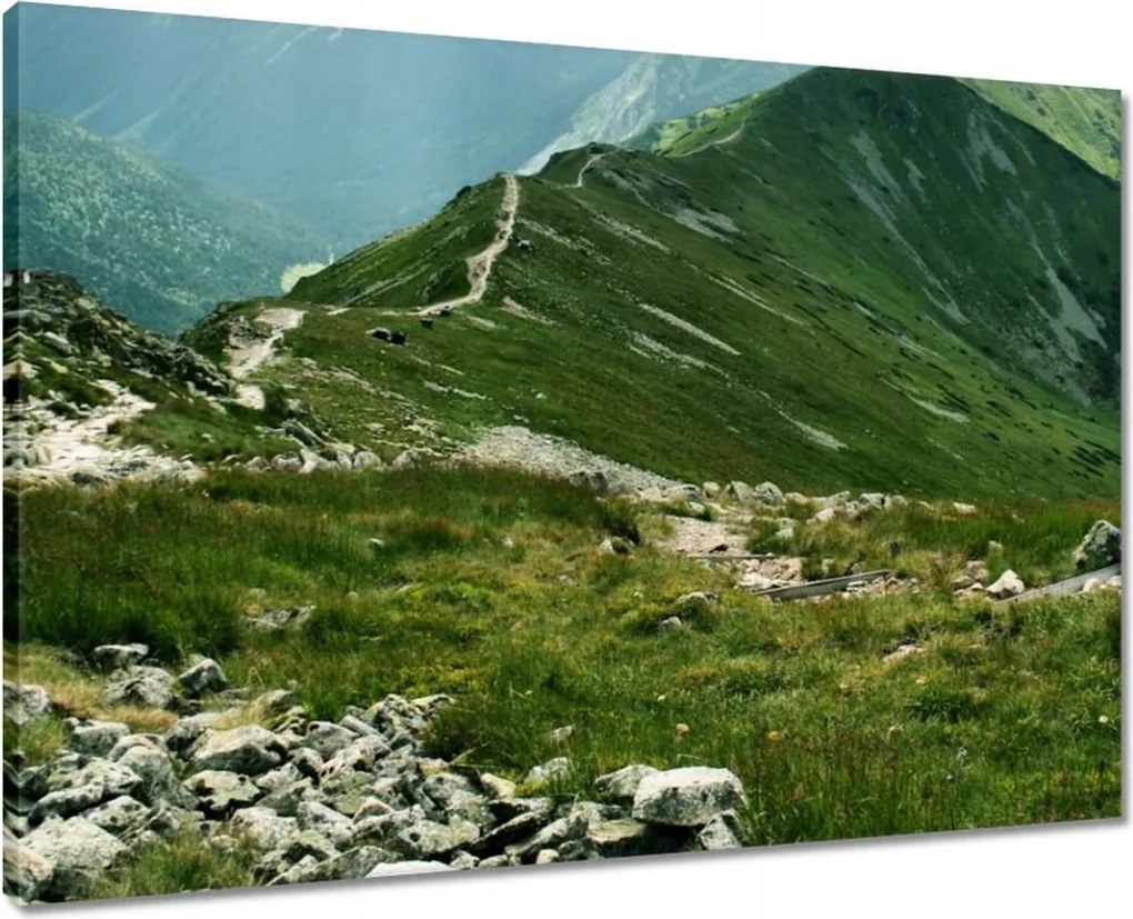 Vászonkép 70x50 Tátra Lengyel hegyek Kilátás