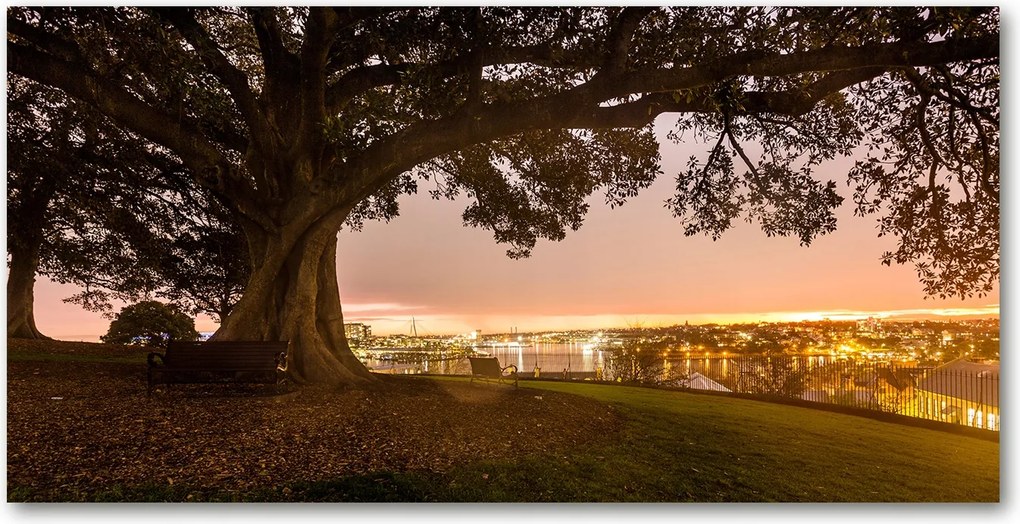 Fotó kép edzett üveg Öreg fa 140x70