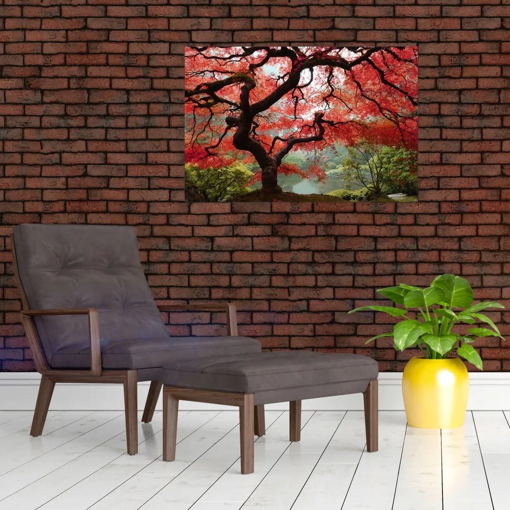 Red Japanese Maple, Portland, Oregon képe (90x60 cm)