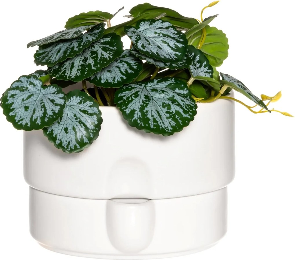 Kerámia Kaspó Öntözőrendszerrel Fehér Virágokkal Ø 19 cm