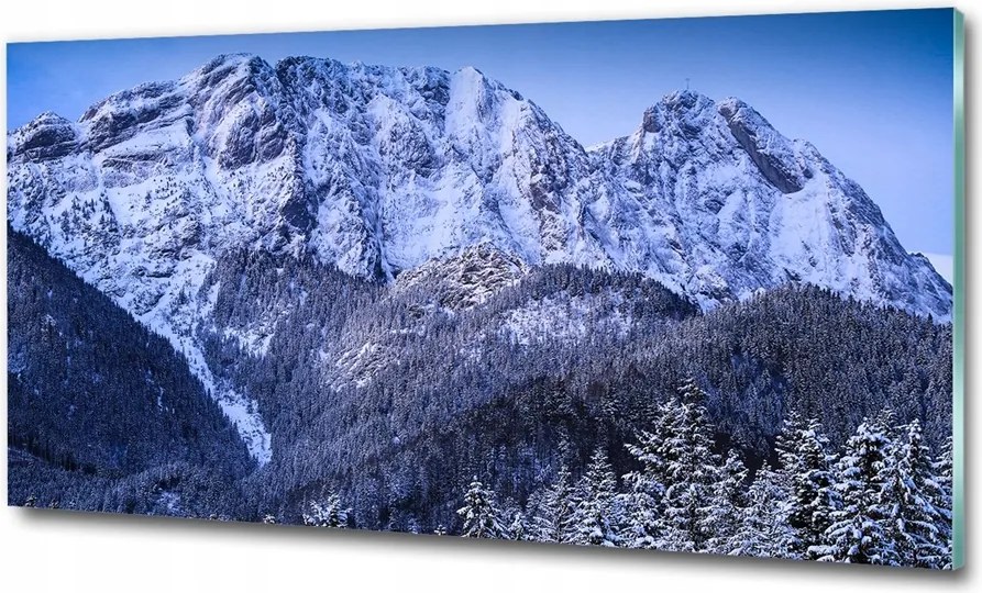 Fotótapéta üvegfalra Gyönyörű erdő télen 125x50