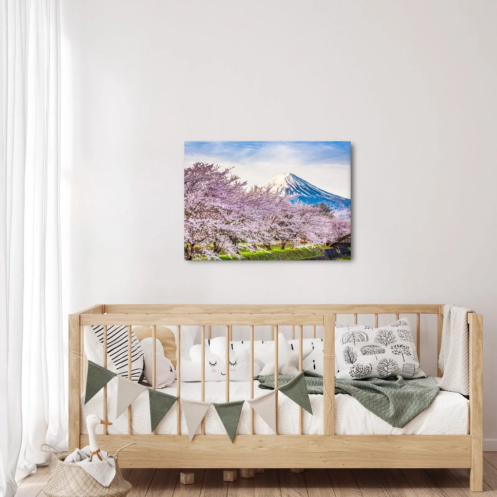 Kép - Japán tavasszal (70x50 cm)
