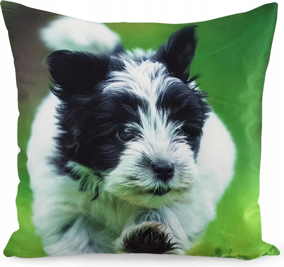 Dekorációs Párnahuzat Jancsi 40x40 Velúr Szép