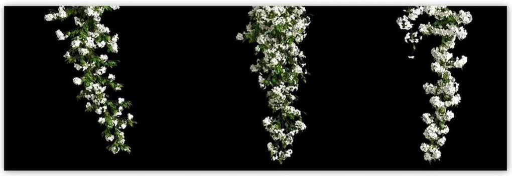 Poszterek 200x66 Bugenwilla fehér virágai