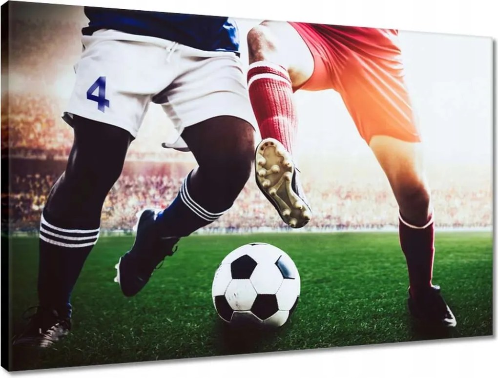 Vászonkép 60x40 Labdarúgók Labdarúgás Ág Dugók