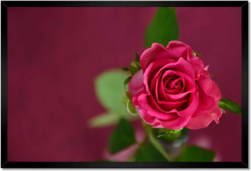 Poszter keretben 60x40 Rózsa lila alapon
