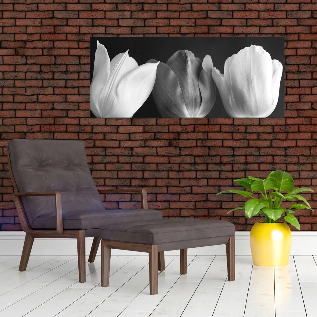 Kép - fekete-fehér tulipán virág (120x50 cm)