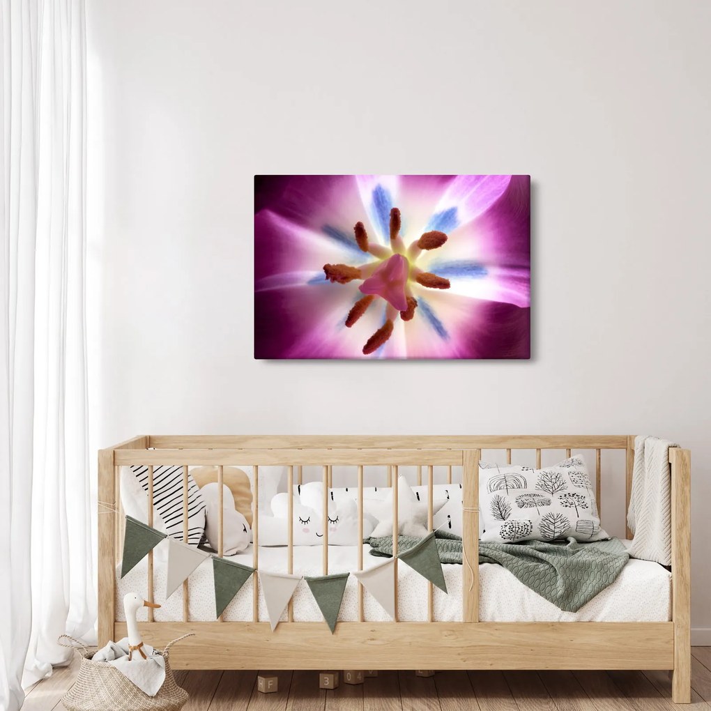 Kép - Tulipán virág részletesen (90x60 cm)