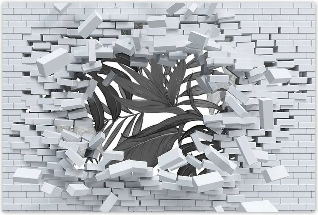 Poszter 60x40 Fekete-fehér monstera