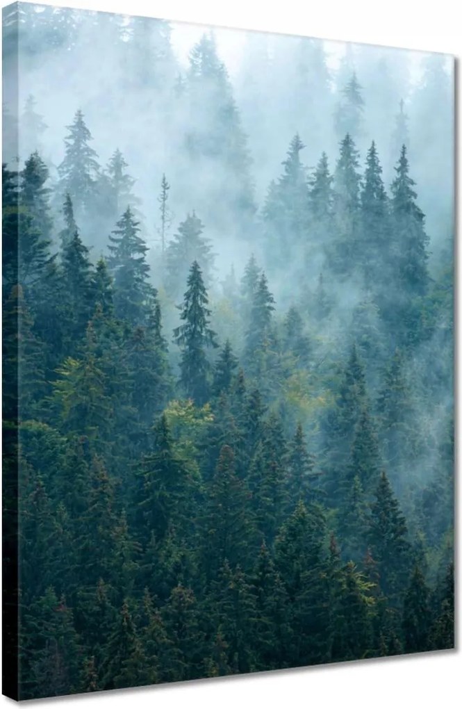 Vászonkép 30x40 Erdő a ködben Utazás