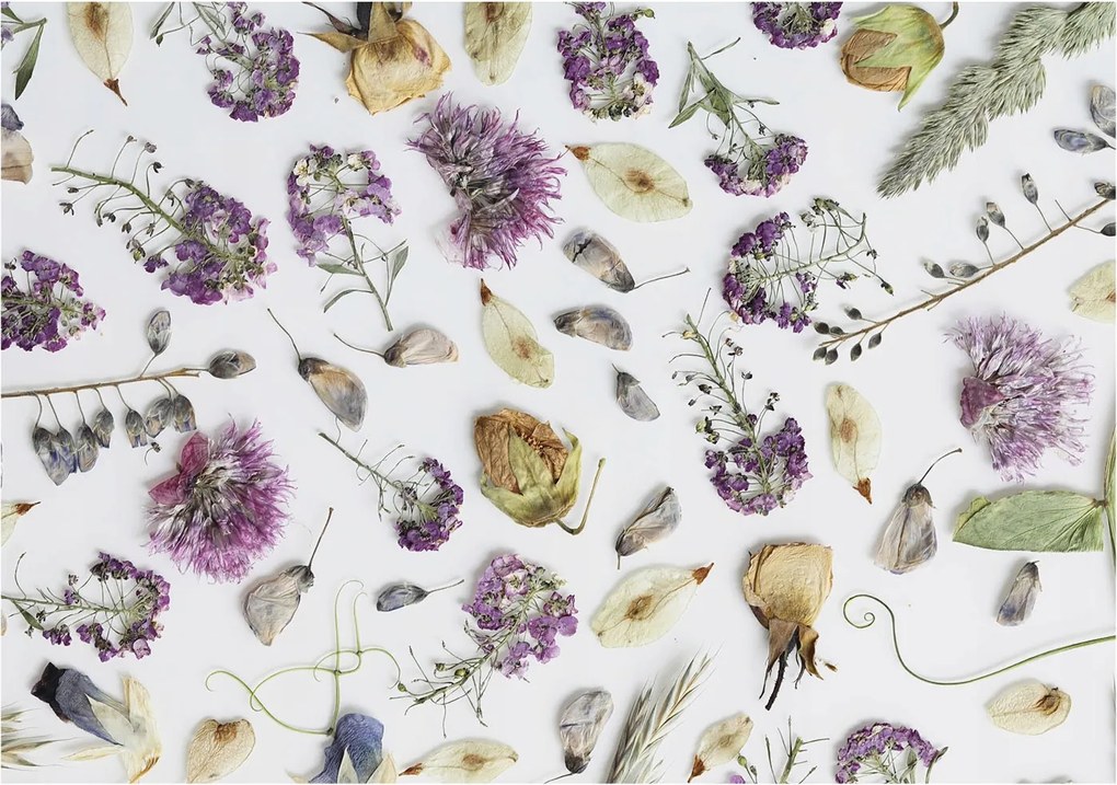 Flizelina Dekoratív Fotótapéta Hálószobába Szárított virágok 208x146 Ragasztó