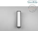 TRIO 226260142 FUERTE Modern Kültéri Fali Lámpa LED+E27 IP20