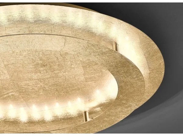 Paul Neuhaus 9621-12 - LED Mennyezeti lámpa NEVIS LED/24W/230V