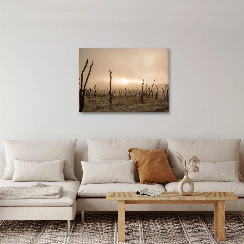Kép - Csupasz fák (70x50 cm)