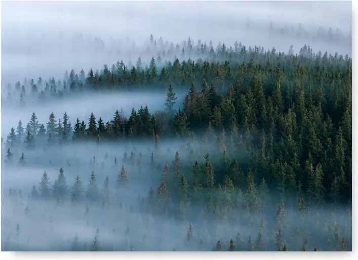 Erdő Hegyek Köd poszter 30x40cm kép zöld természet #373