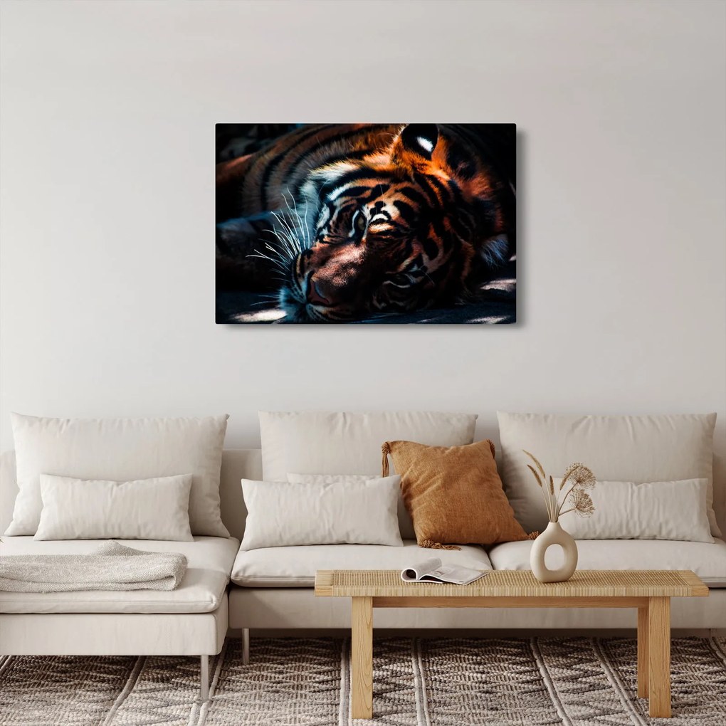 Egy fekvő tigris képe (90x60 cm)