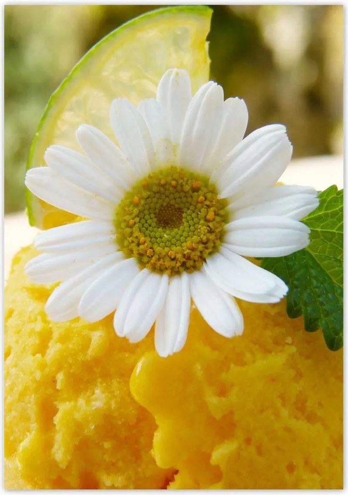 Poszterek 70x100 Gyümölcsös sárgabarack fagylalt