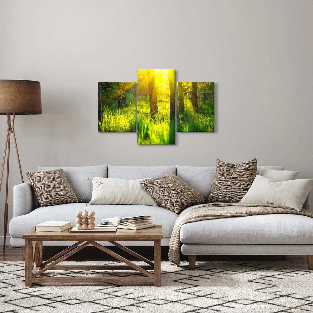 Kép - Az erdő tavaszi ébredése (90x60 cm)