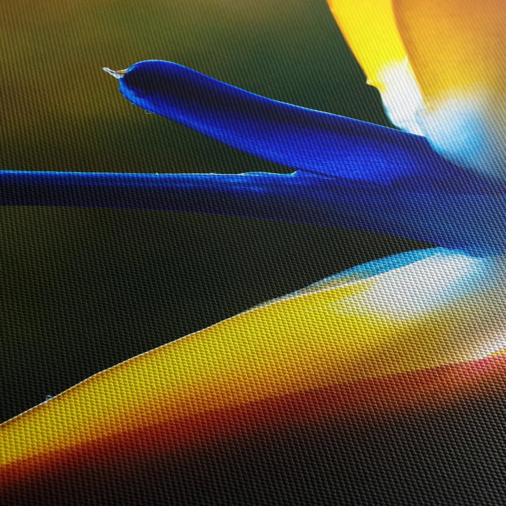 Kép - Egzotikus virág (90x60 cm)