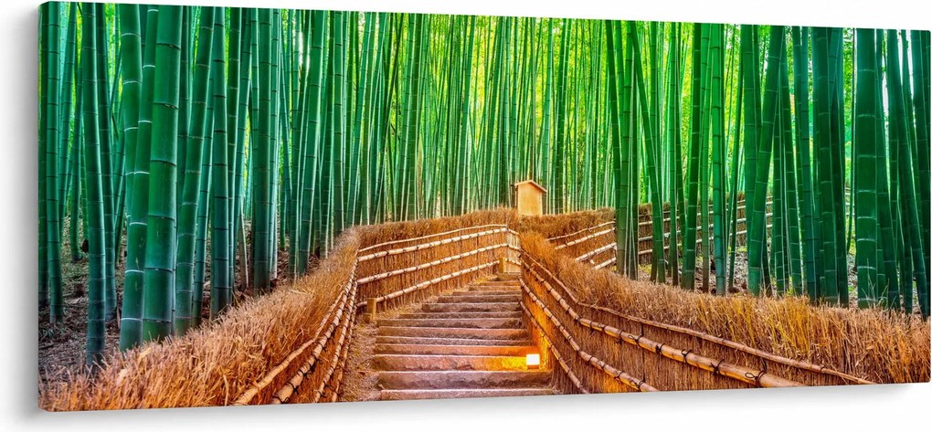 Kép - Japán bambusz erdő (120x50 cm)