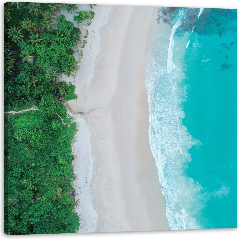 Vászonkép Víz Hullámok Tengerpart Fák Természet 80X80 cm