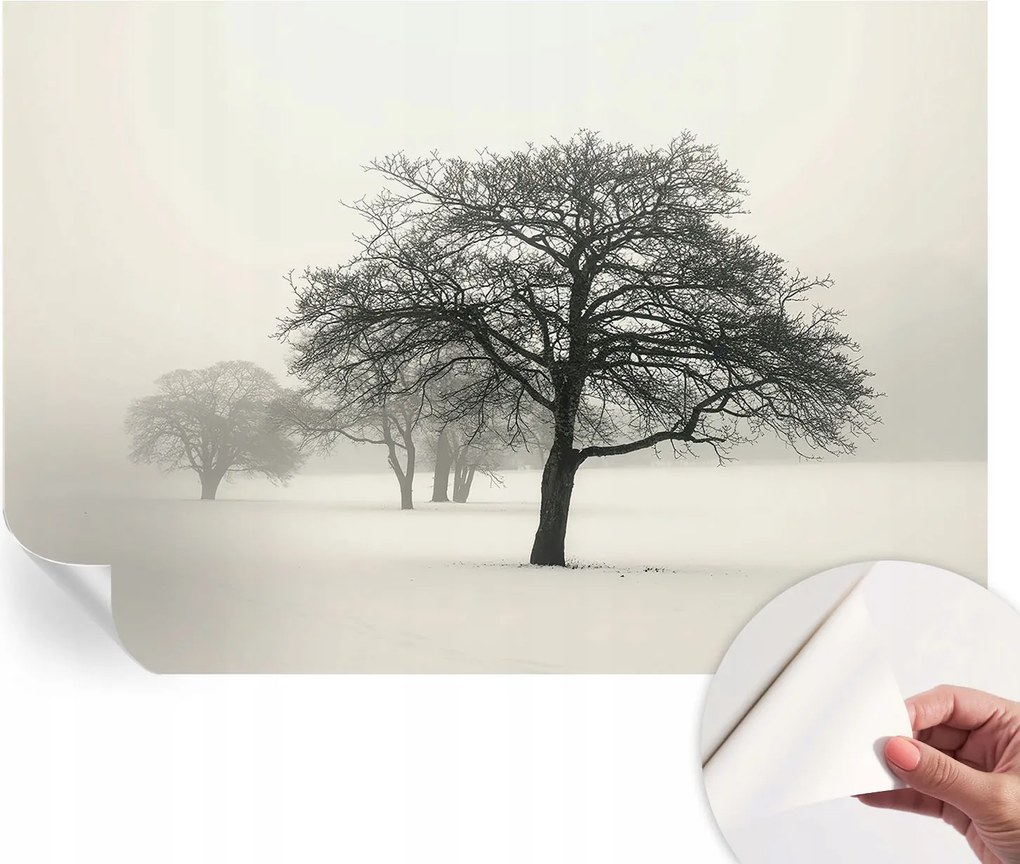Dekoratív öntapadós fotótapéta Hálószobába Téli fák 152x104 cm