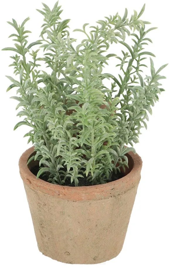 Műnövény (magasság 21,5 cm) Thyme – Esschert Design