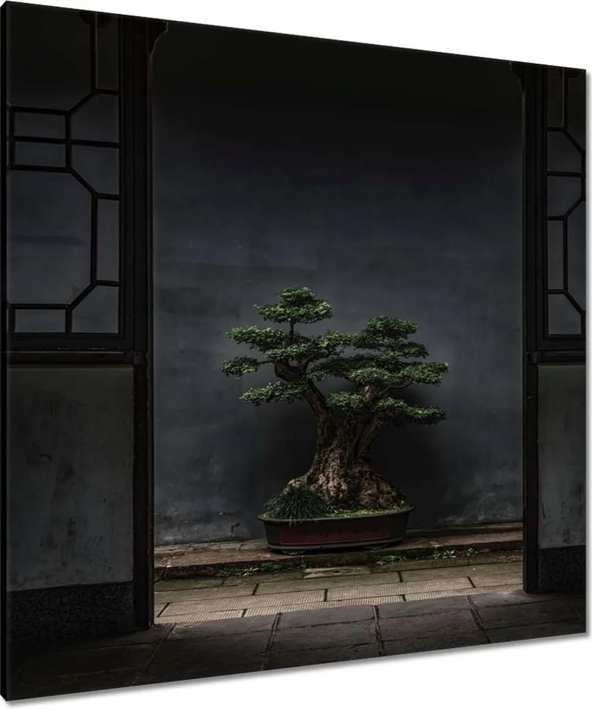 Vászonkép 90x90 Bonsai Fa Kultúra