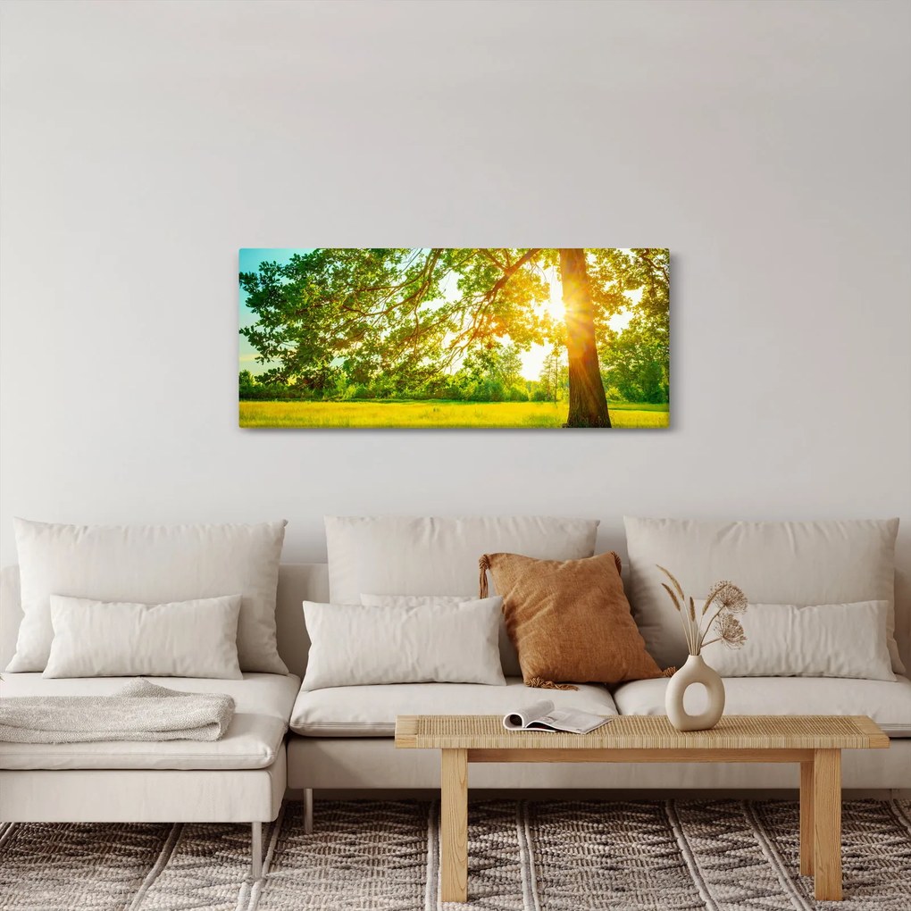 Kép - Sunny Forest (120x50 cm)