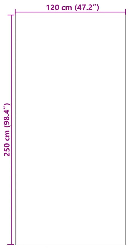 Ajtószőnyeg Fekete 120 x 250 cm Poliamid és PVC
