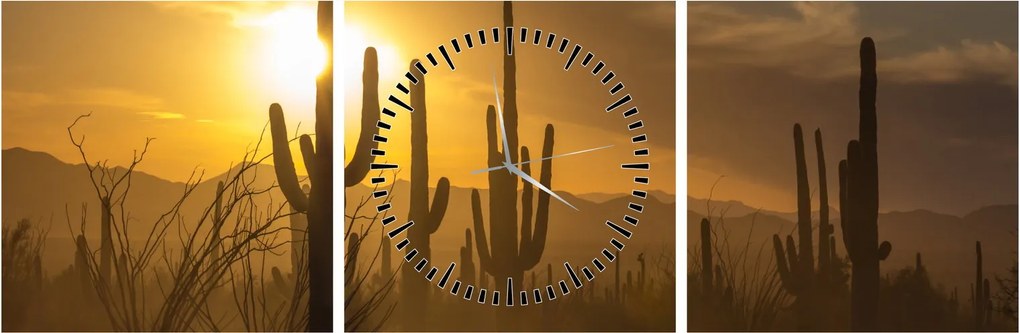 Kép - Saguaro kaktuszok (órával) (90x30 cm)