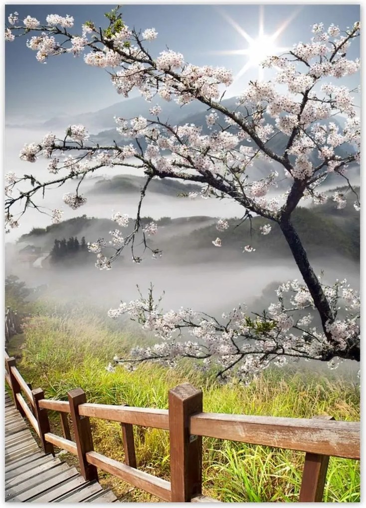 Poszterek 50x70 Japán Virágzó cseresznye