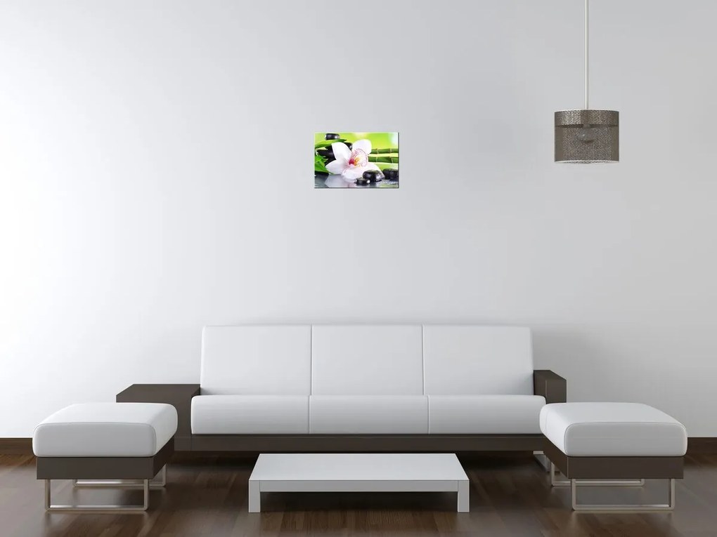 Gario Vászonkép Fehér orchidea és kövek Méret: 100 x 70 cm