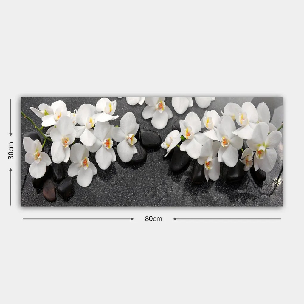 Vászonkép, 30×80 cm – TR483TNS1167
