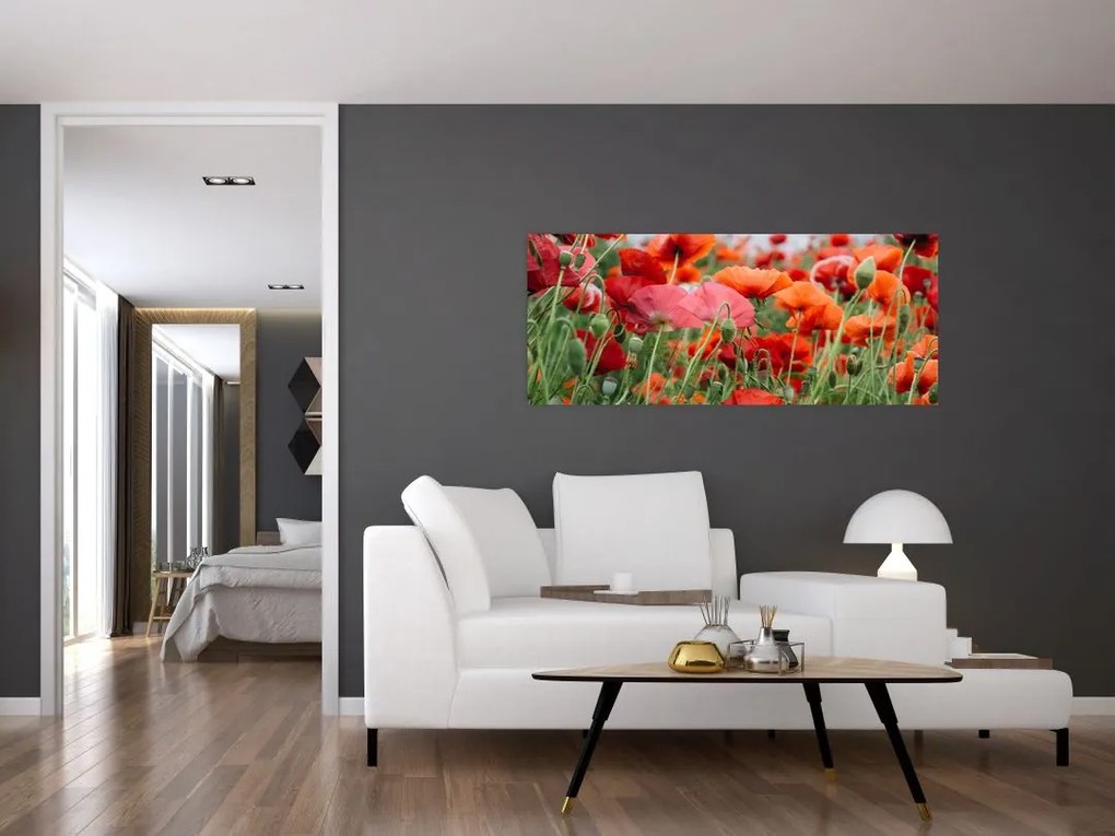 Egy kép a pipacs mezőről (120x50 cm)