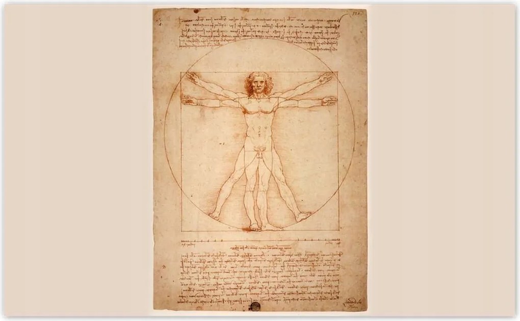 Fotótapéták 416x254 Vitruvius ember