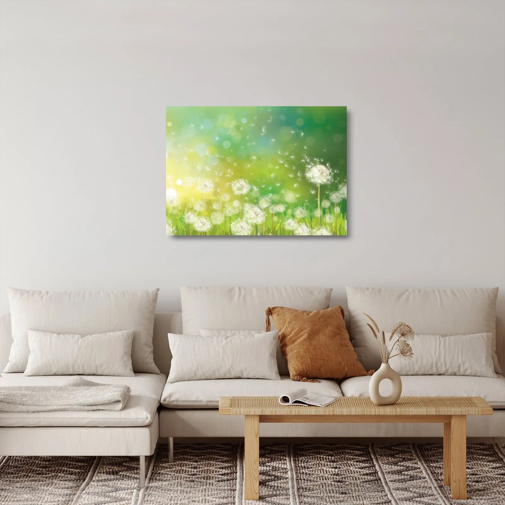 Kép - Virágozatlan pitypang (üvegen) (70x50 cm)
