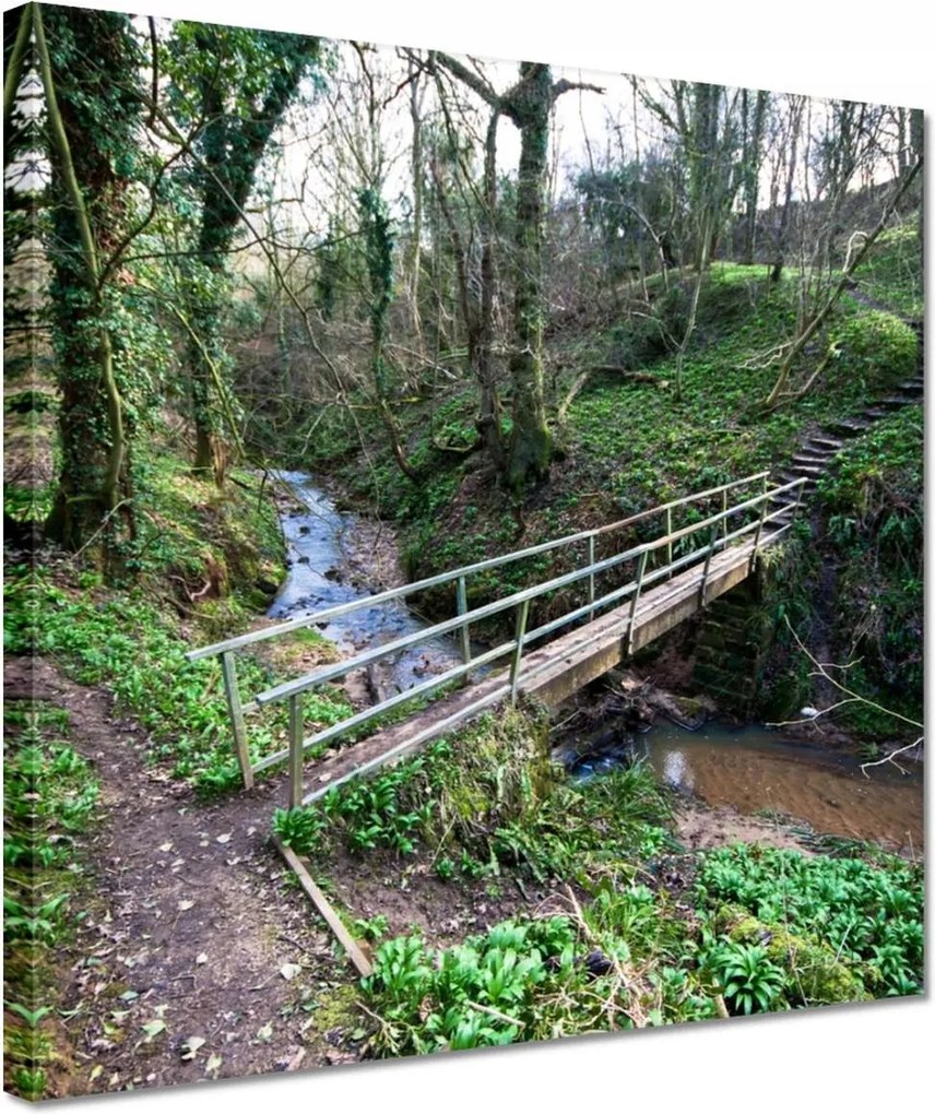 Vászonkép 30x30 Híd a parkban