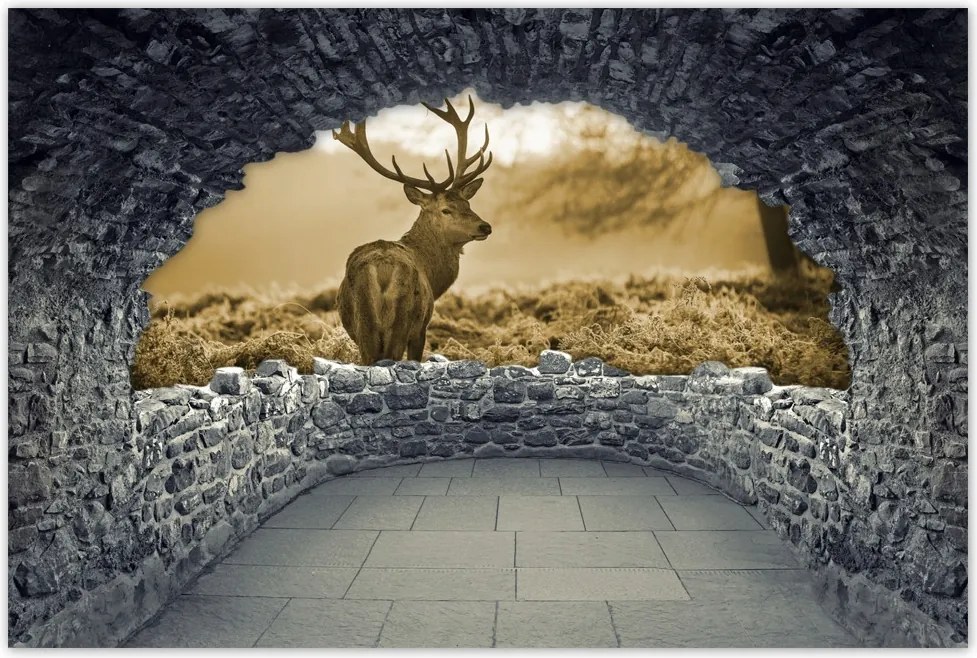 Poszterek 60x40 Szépia szarvas